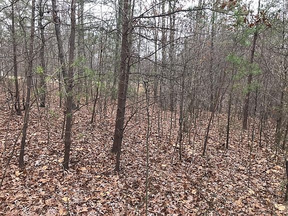 5th image of 528 Bluff View Dr #528