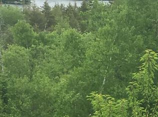 11 W Pleasant River Lake Rd, Cherryfield, ME 04622