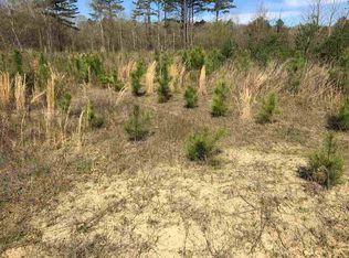 McCurdy Rd, Morton, MS 39117