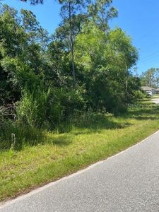 Gabrysh Rd LOT 11, North Pt, FL, 34291