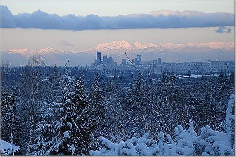 Winter View 