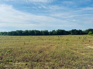 0 New Hinson Rd, Slocomb, AL 36375