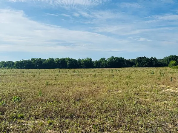 0 New Hinson Rd, Slocomb, AL 36375