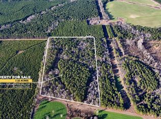 675 Jackson Rd, Wrightsville, GA 31096