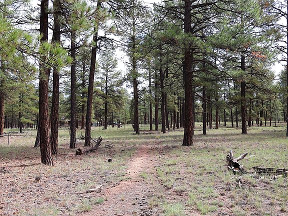 5th image of LOT 44 Rhyolite Rd