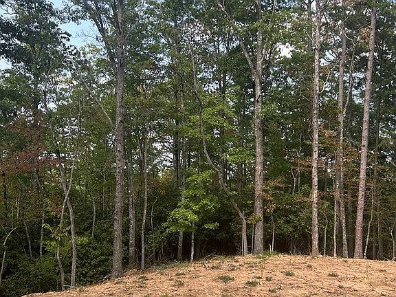 4th image of 385 Martin Hills Dr