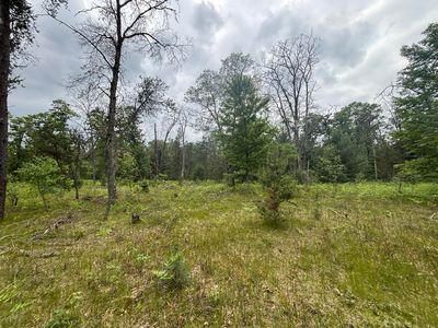 V/l 14a N Woodbridge Ave, Bitely, MI, 49309