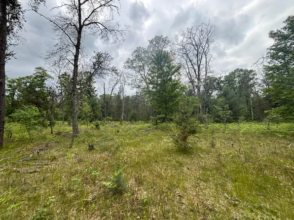 V/l 14a N Woodbridge Ave, Bitely, MI 49309