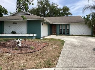 15803 Ironware Pl, Tampa, FL 33624