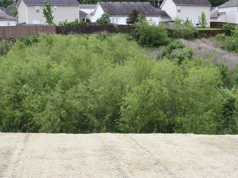 2nd image of 8809 Cressent Glen Ct Lot 347