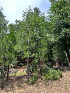 Lot 13 Forest Ln Unit 3, Dunsmuir, CA, 96025