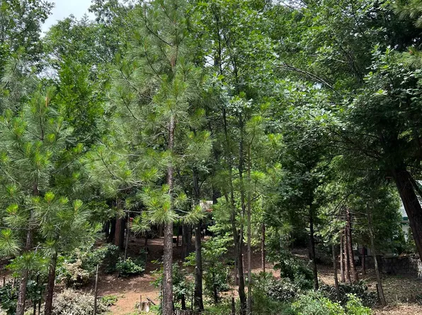 Lot 13 Forest Ln Unit 3, Dunsmuir, CA 96025