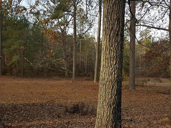 4th image of 1135 Cleckley Blvd