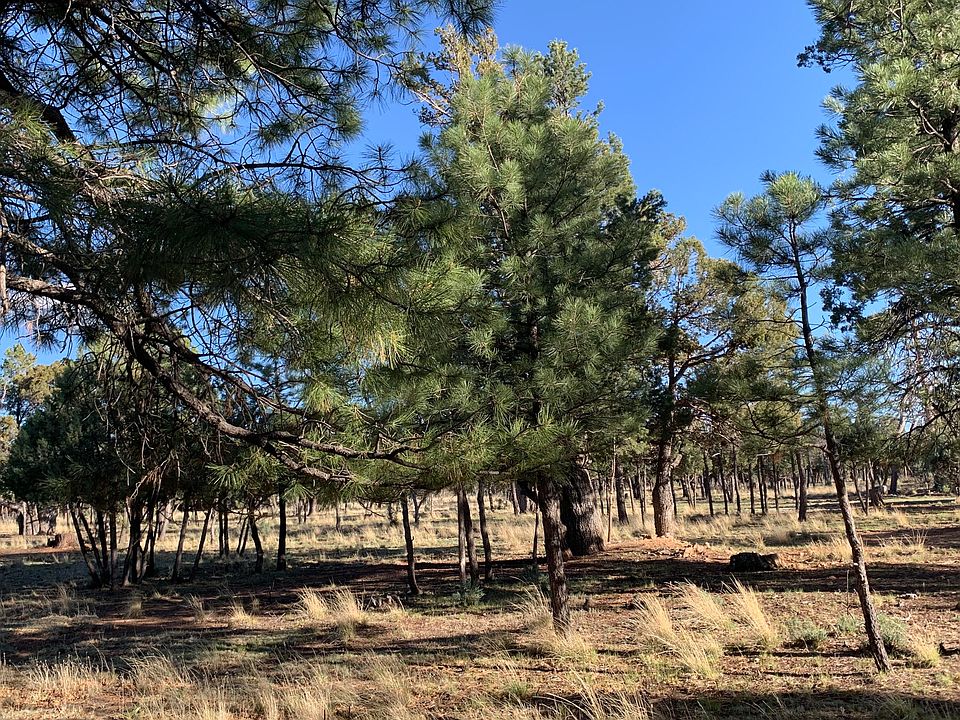 1st image of 5732 Raton Cir