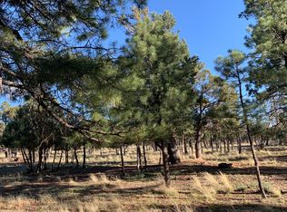 5732 Raton Cir, Happy Jack, AZ 86024