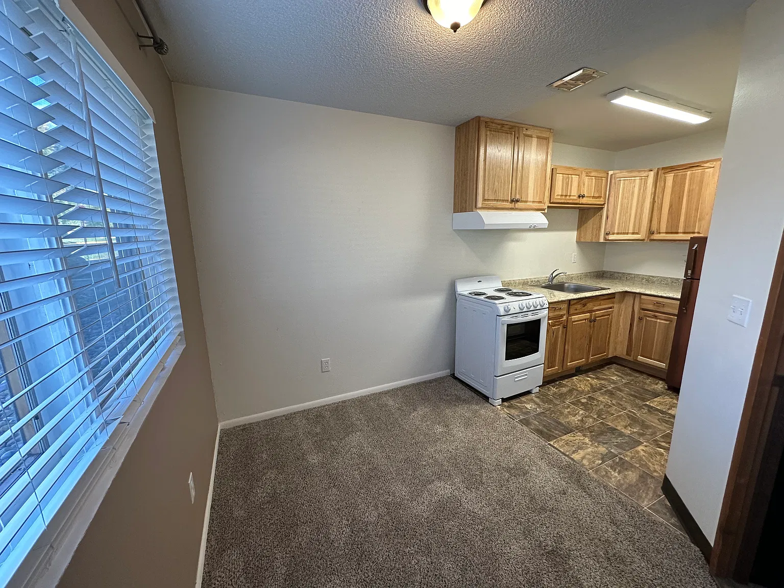 1 Bed 1 Bath Basement Apartment — Photo 3