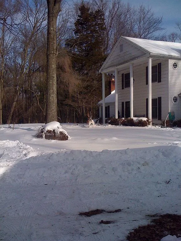 131 W Millstream Rd photo 1