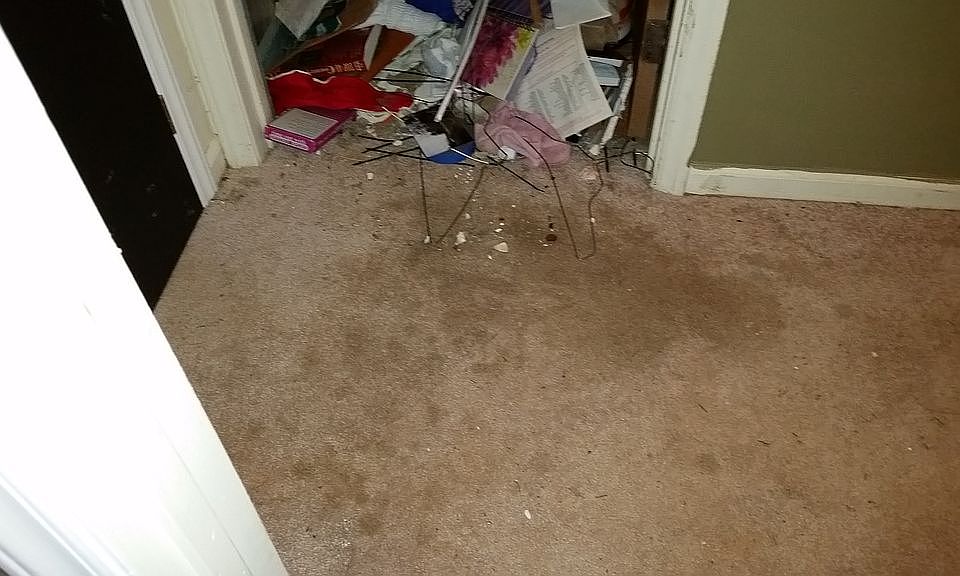 2nd image of 1004 Zeb Helms Rd