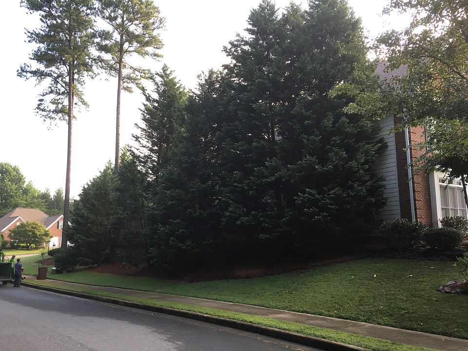 Overgrwn Trees on House