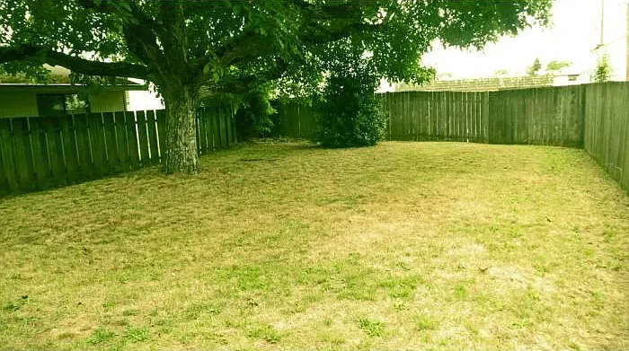 Large Back Yard