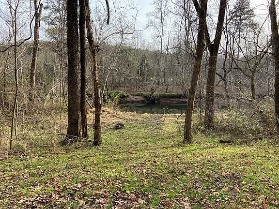 5th image of 221 Tellico Camp Rd