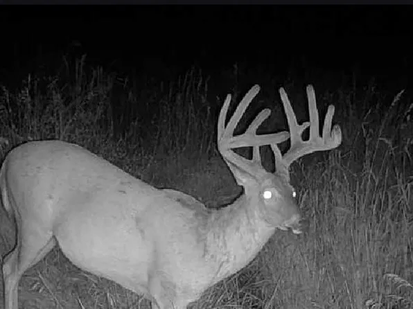 0 Eastin Pl, Cainsville, MO 64632