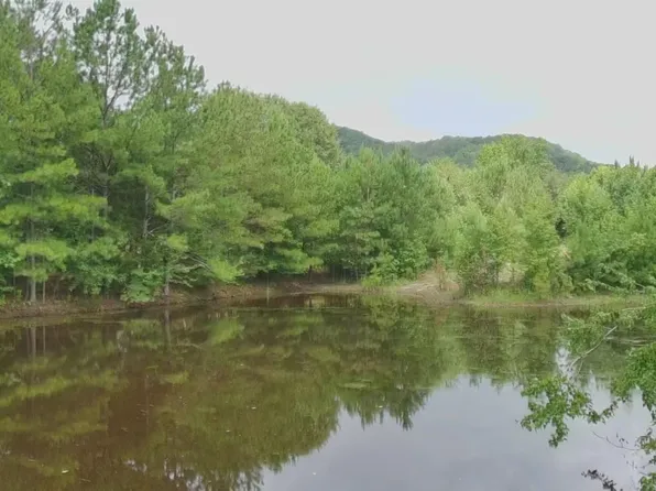 4040 County Road 131, Piedmont, AL 36272