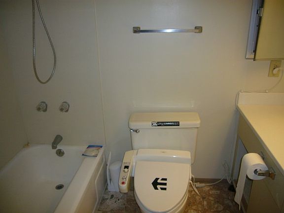 2nd image of 1251 Heulu St APT 602