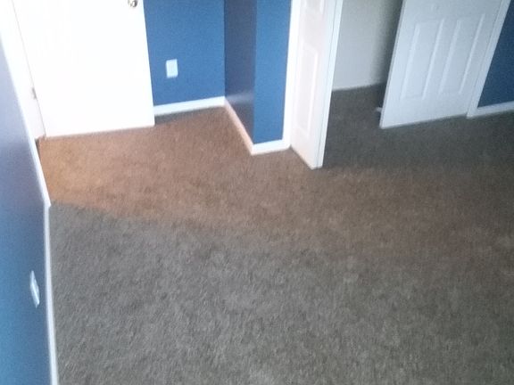 4th image of 8428 Staplehurst Dr W