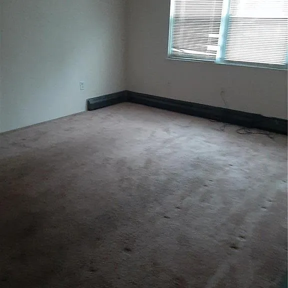 709 Line St #B — Photo 3