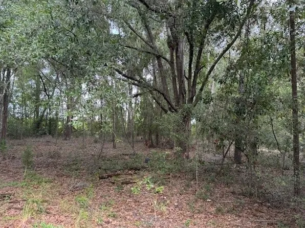 27210 41st Rd, Branford, FL 32008