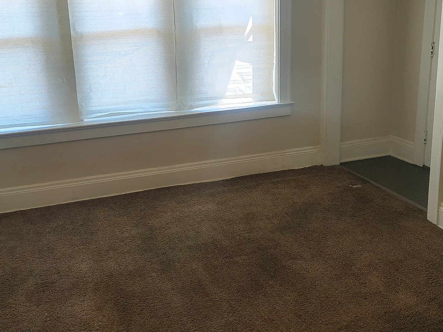 1 bed, 700 sqft, $800 — Photo 2