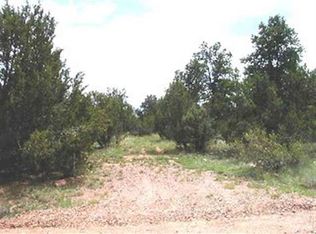 1891 Little Doe Trl, Heber, AZ 85928