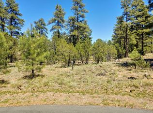 4640 W Hawthorn Rd, Show Low, AZ 85901