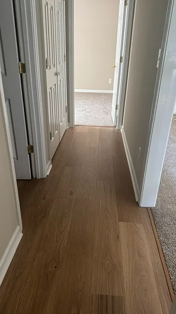 2 bed, 1200 sqft, $1,200 — Photo 4