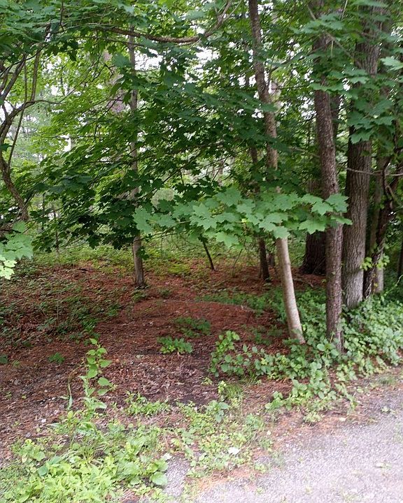 2nd image of 0 Lynn St