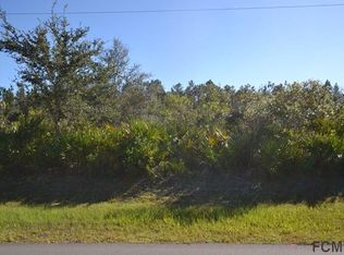 24 Louisville Dr, Palm Coast, FL 32137