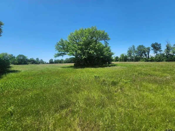 County Road 2208, Pittsburg, TX 75686