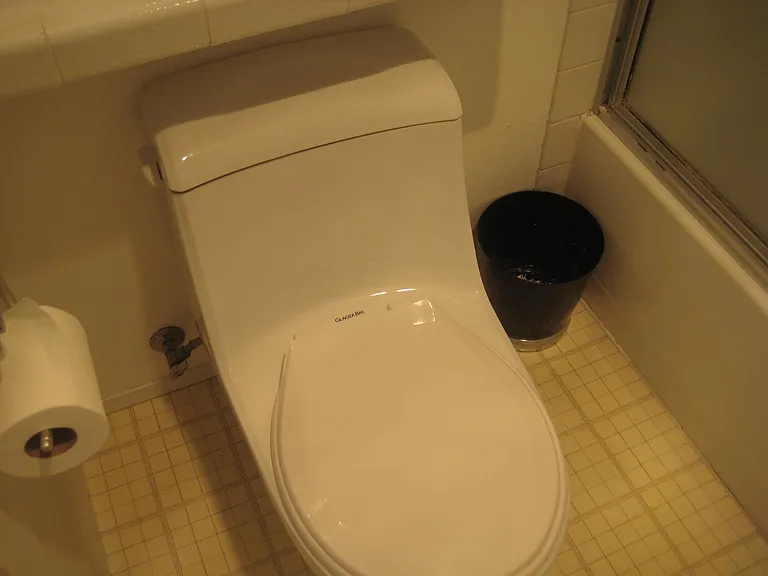 Toilet is new