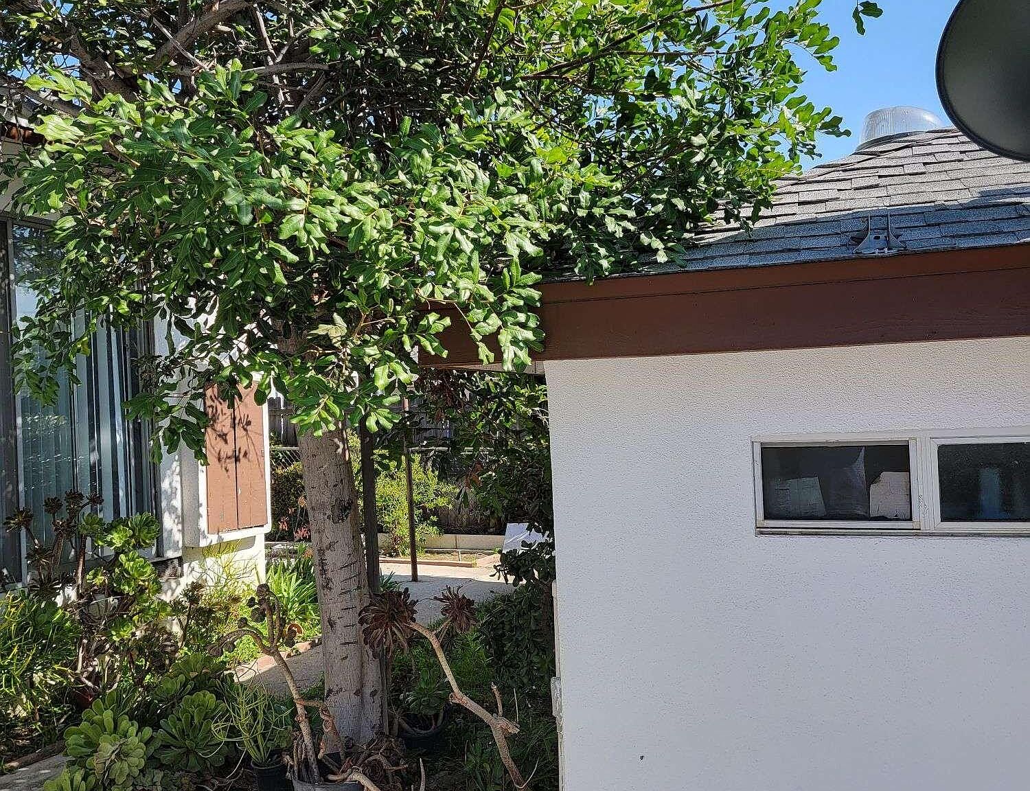 1246 Dorner Dr, Monterey Park, CA 91754 Zillow