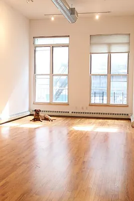 Rented by Level Group | media 12