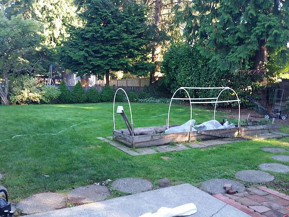 large back yard, fully fenced, storage shed with electricity