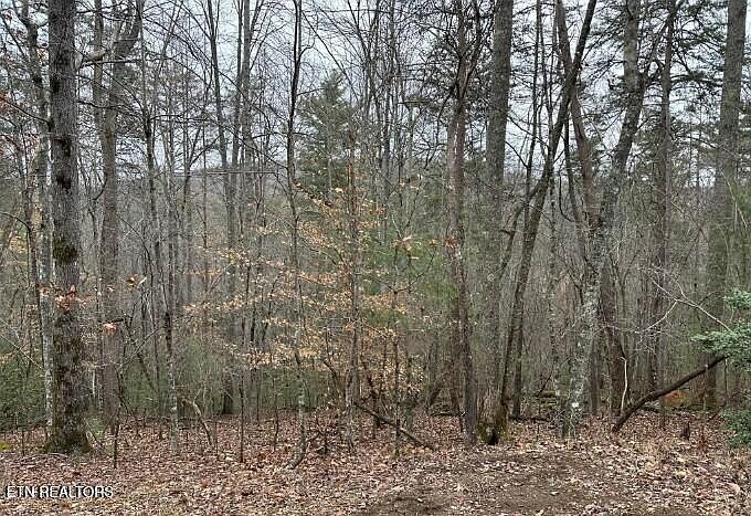 1st image of 173 Pineridge Loop