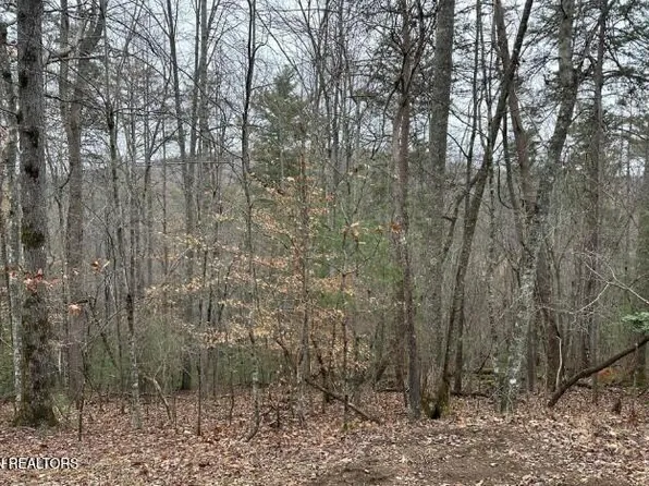 173 Pineridge Loop, Crossville, TN 38558