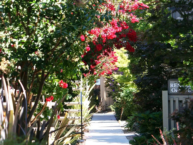 Colorful pathways