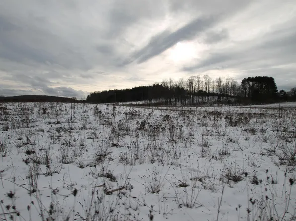 Atwood Rd, Ellsworth, MI 49729