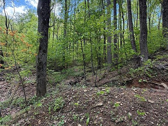 5th image of LOT 28 Bluff Ridge Rd #28