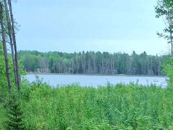 Land 99 Breezewood Dr, Mancelona, MI 49659