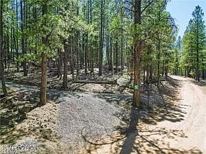 3rd image of 201 W Mammoth View Dr