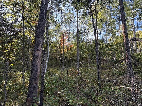 3rd image of Tbd Evergreen Dr